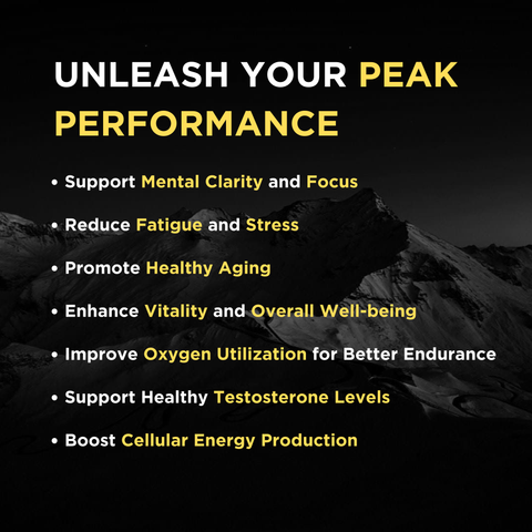 Pure Himalayan Shilajit Resin | 100% Authentic, Natural, Organic and Lab Tested | Contains 85+ Trace Minerals and Fulvic Acid | 75 Servings for Energy Boost & Immune Support